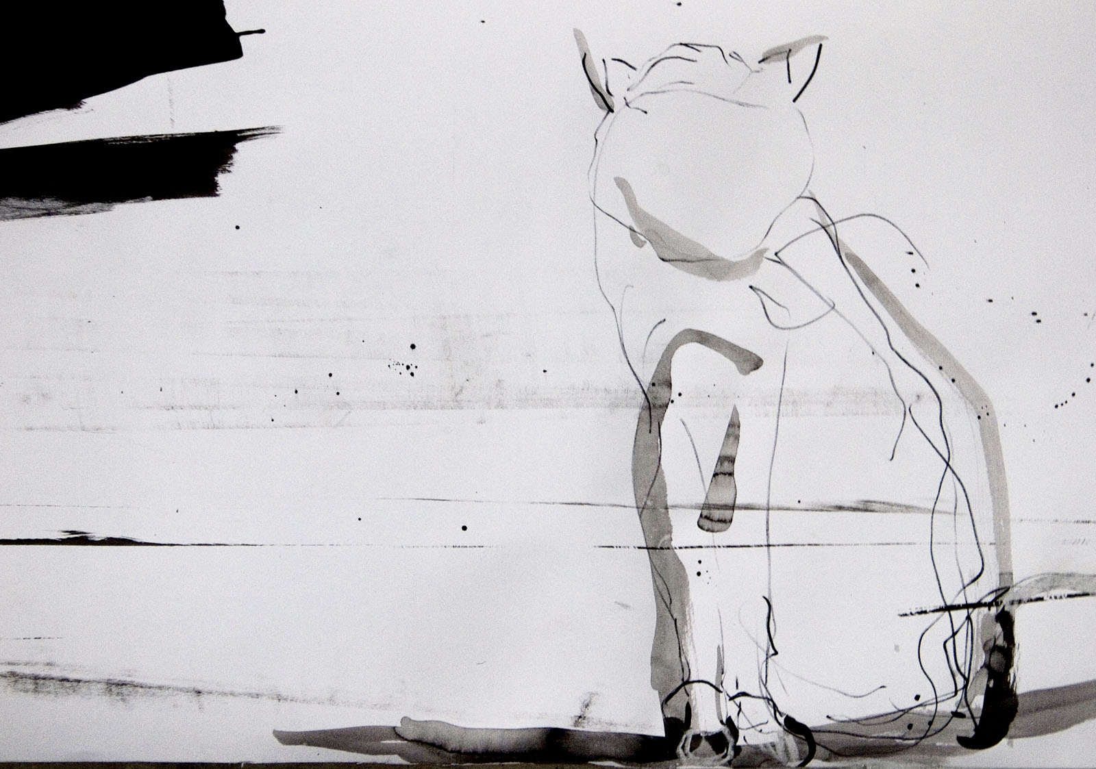 Katze 2017, Detail, Uta Reinhardt